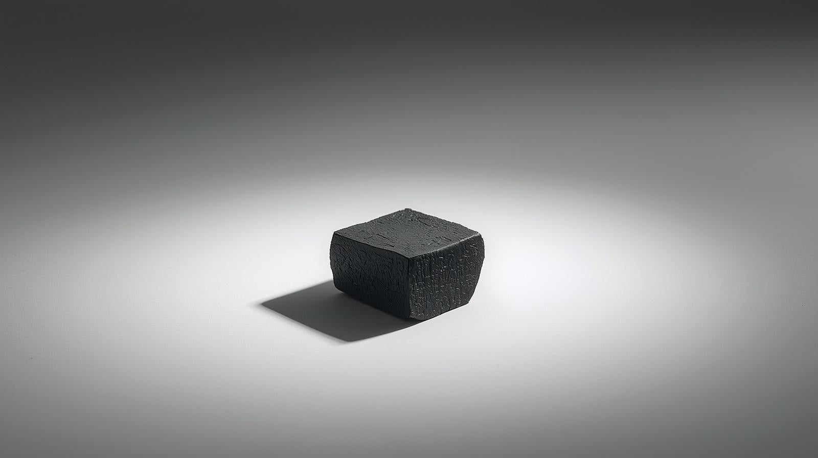A single, elegant piece of activated bamboo charcoal on a white background, highlighting its use as a purifying ingredient in natural skincare.