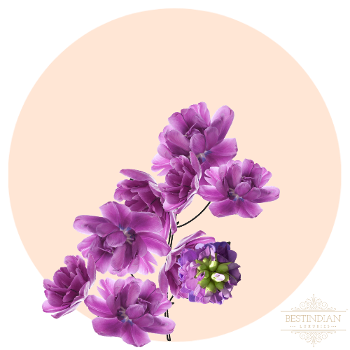 A botanical illustration of Bakuchi, one of the chief ingredients of Elixir of Youth face serum from BestIndian. paraben free, 100% natural.