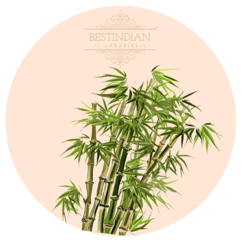 An artistic representation of bamboo plant from which charcoal is obtained which is an ingredient of the Moviestar soap by BestIndian