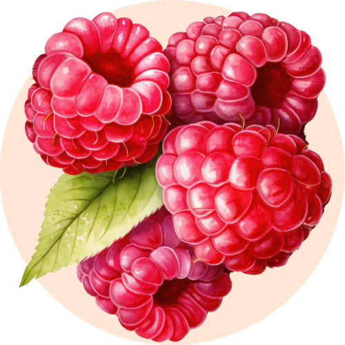 Red raspberry is one of the main ingredients of Elixir of Youth anti aging Sunscreen Gel from BestIndian beauty Care Luxuries. 