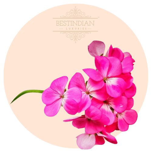 A botanical illustration of Geranium, a hero ingredient in the BestIndian beauty care products