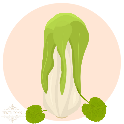 A botanical illustration of Arjuna, one of the chief ingredients of Elixir of Youth face serum from BestIndian. paraben free. 100% natural.