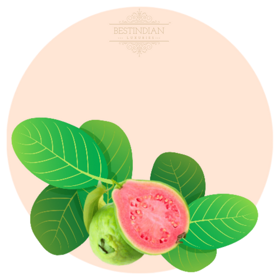 A watercolor botanical illustration of Guava Leaf, featuring the BestIndian™ brand mark, used to highlight natural ingredients in luxury skincare.