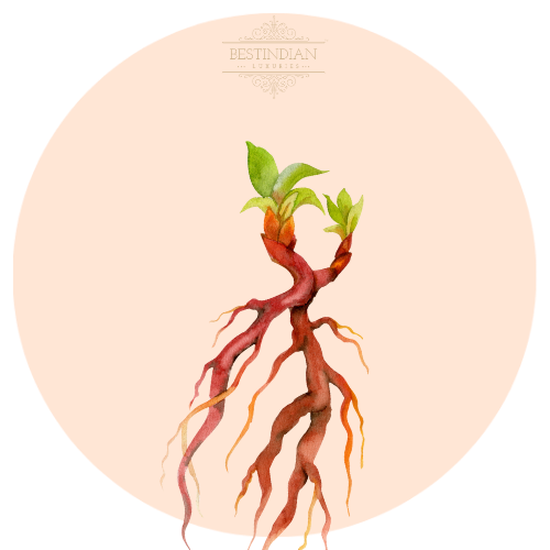 An artistic representation of Manjistha , a key ingredient in BestIndian Luxuries cosmetics.