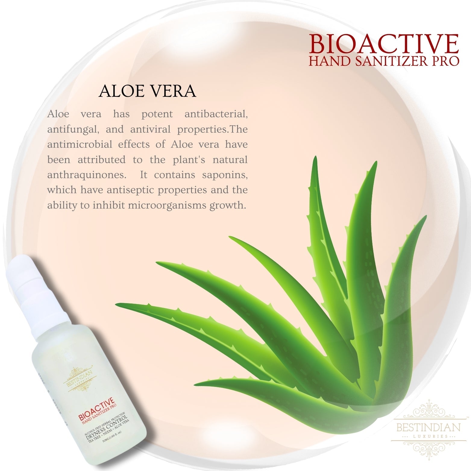 BioActive Hand Sanitizer Pro bottle by BestIndian shown with fresh aloe vera plant illustration, highlighting the natural antibacterial, antifungal, and antiviral properties of aloe vera for gentle, moisturizing hand sanitization.