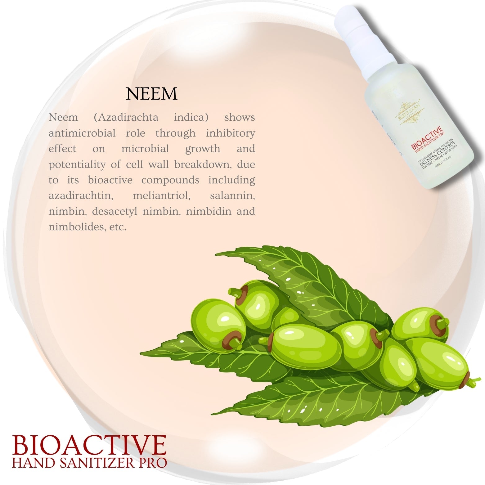 The BioActive Hand Sanitizer Pro bottle by BestIndian featured with neem leaves and berries illustration, emphasizing neem's antimicrobial bioactive compounds that provide natural cell wall breakdown and microbial growth inhibition.