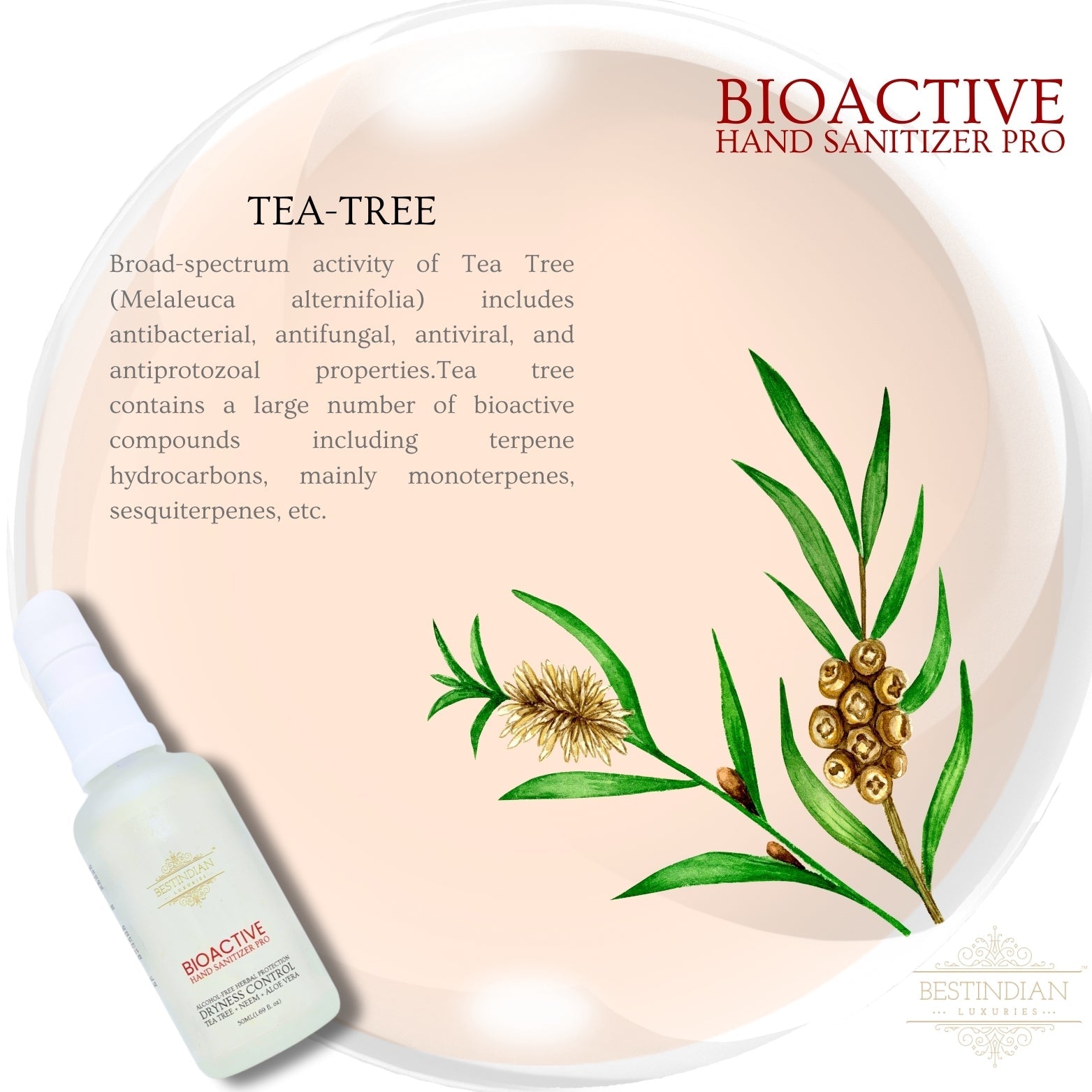 BioActive Hand Sanitizer Pro bottle by BestIndian displayed with tea tree plant illustration, showcasing tea tree oil's broad-spectrum antibacterial, antifungal, antiviral, and antiprotozoal properties for comprehensive hand protection.
