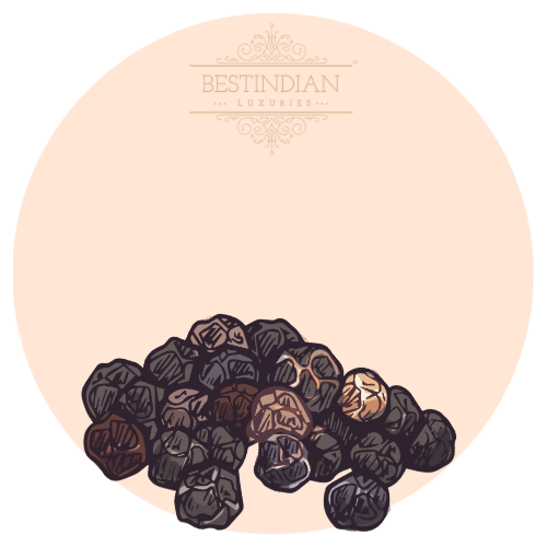 A botanical illustration of black pepper, a hero ingredient in the lord spicy woody perfume attar by BestIndian™ perfumes.