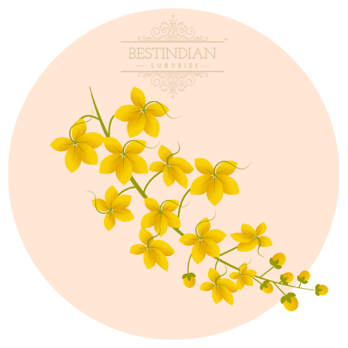 An illustration of land caltrops, a star ingredient in the Moviestar™ Eye Contour Cream by BestIndian, known for its skin-rejuvenating and soothing benefits for tired under eyes.