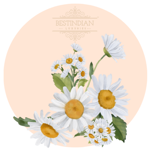 Artistic illustration of chamomile, a star ingredient of Peacepotion by Bestindian.