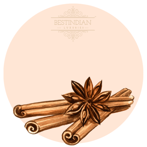 An artistic illustration of cinnamon, a key ingredient in the herbal ayurvedic ark Moviestar potion by BestIndian.