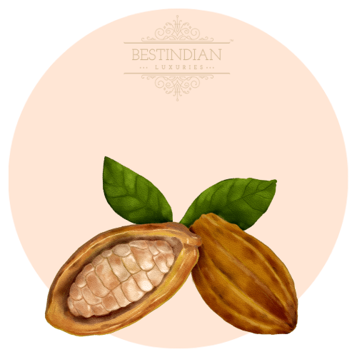 An illustration of cocoa butter, a hero ingredient in the Lady by BestIndian™ attar.