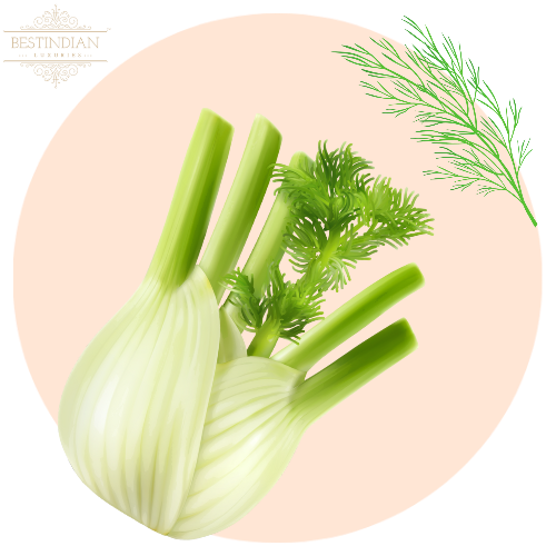 An artistic illustration of fennel, a key ingredient in the herbal ayurvedic ark GlowPotion by BestIndian