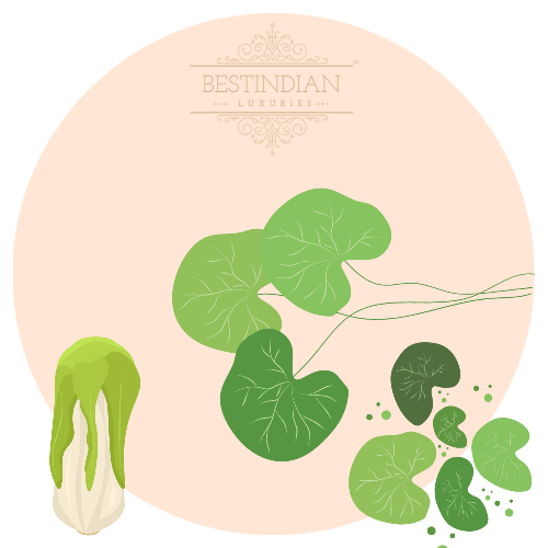 A botanical illustration of gotukola, a hero ingredient in the BestIndian beauty care products