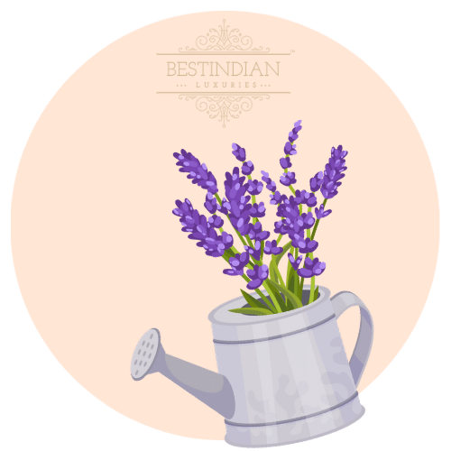 A botanical illustration of lavender, a hero ingredient in the BestIndian™ perfumes, cosmetics, beauty care and hair care products
