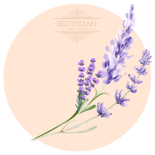 A botanical illustration of lavender, a hero ingredient in the BestIndian beauty care products