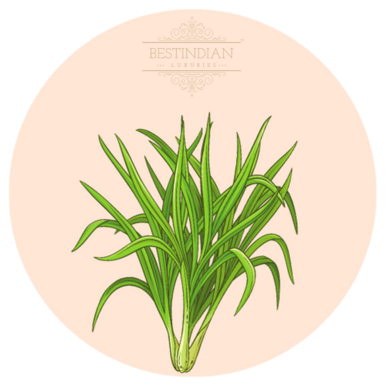 A watercolor botanical illustration of lemongrass star ingredient of Moviestar toner, featuring the BestIndian™ Luxuries brand mark
