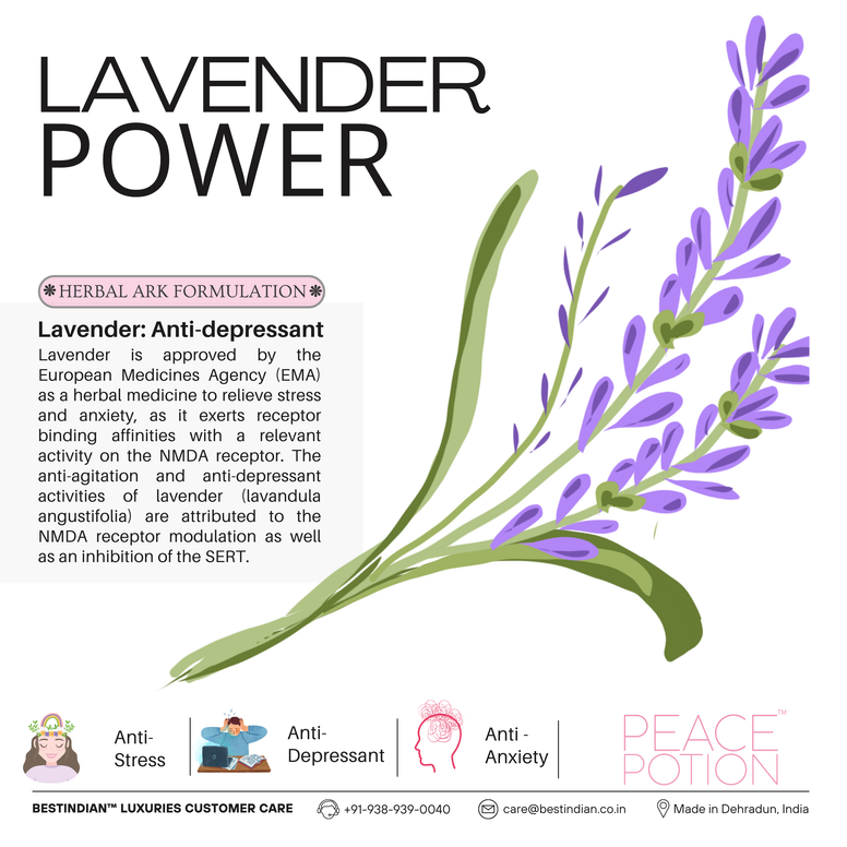 PeacePotion™ herbal ark with Lavender, offering natural anti-depressant tea benefits for mood support.
