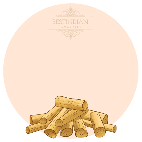 A botanical illustration of sandalwood, a hero ingredient in the King petrichor attar by BestIndian™ perfumes.