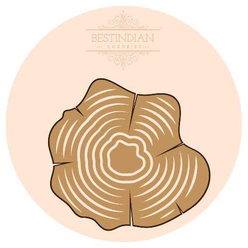A botanical illustration of teakwood, a hero ingredient in the lord spicy woody perfume attar by BestIndian™ perfumes.